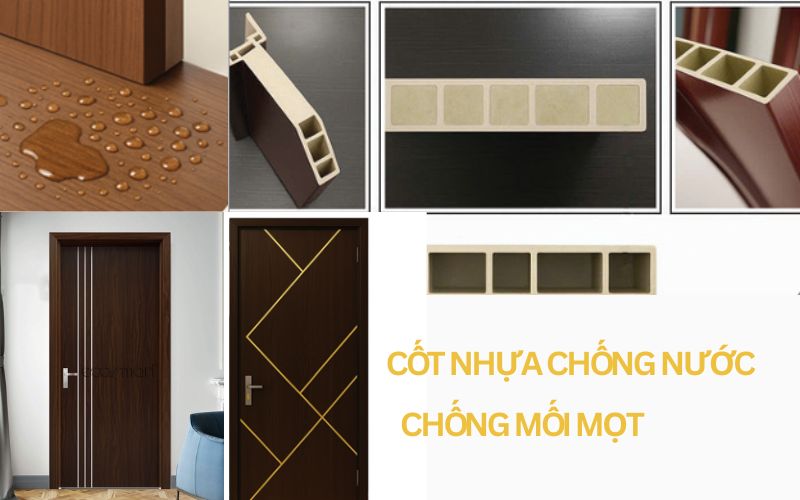 Cấu tạo